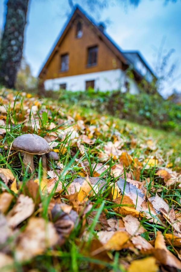 U Staré hájenky Apartamento Jindrichov Exterior foto